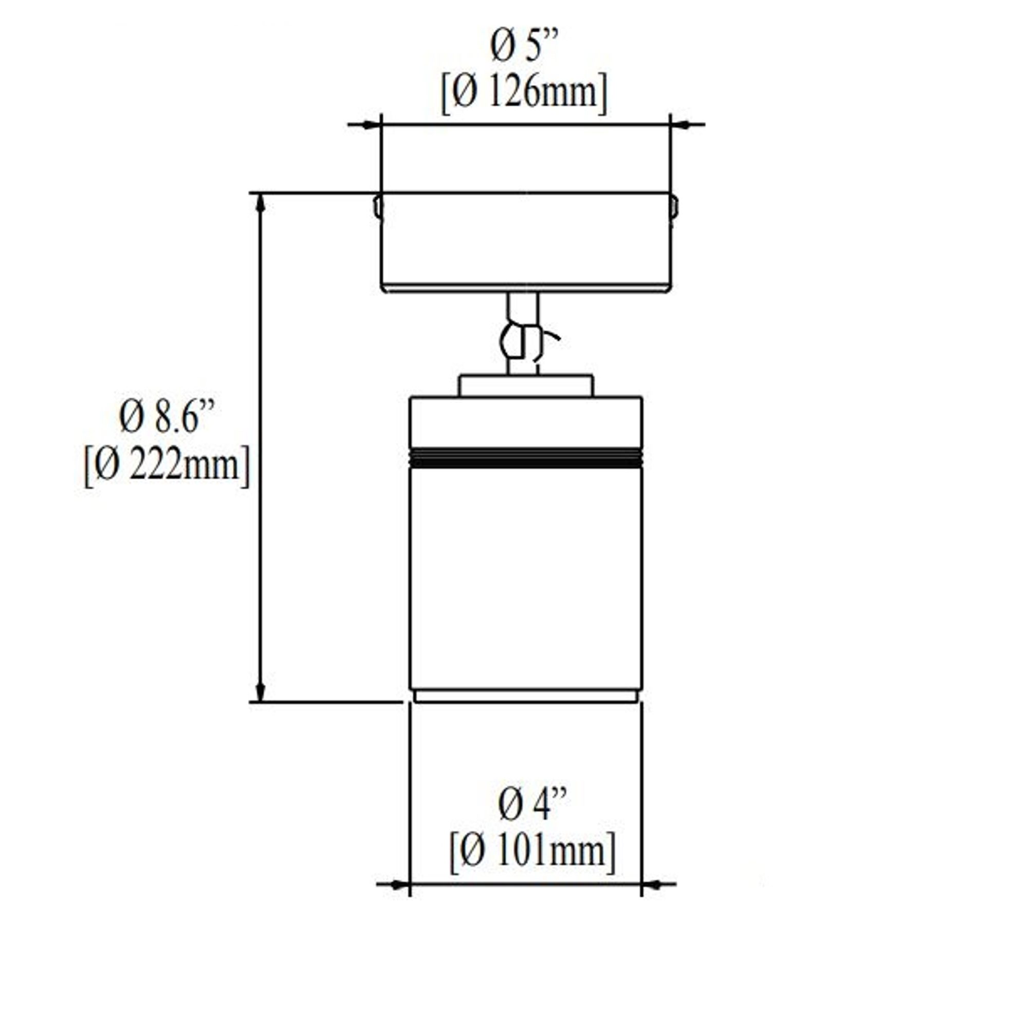296081