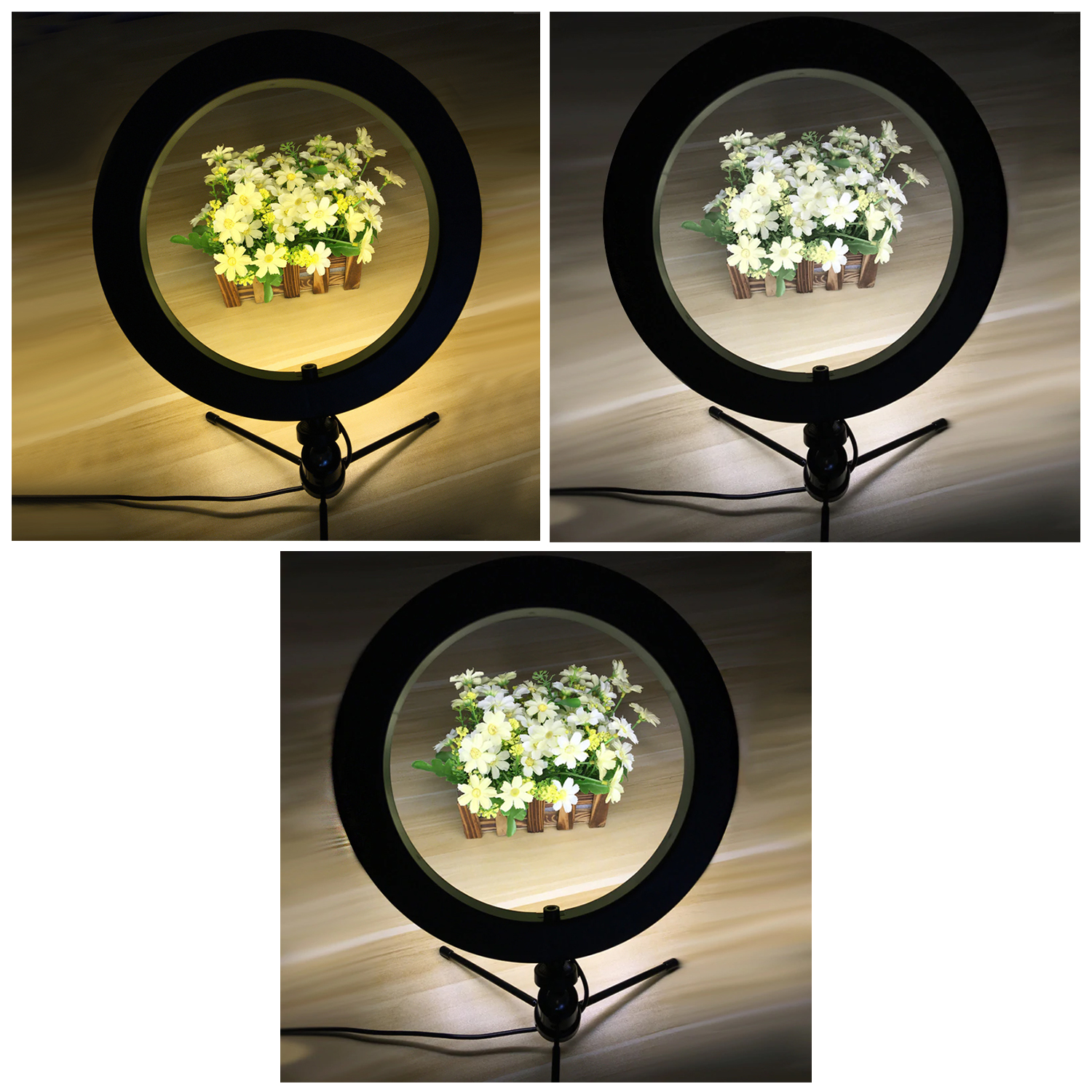 Anillo de Luz Selfie 16cm 15W C/Control y Tripode