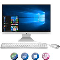 Equipo All In One Asus 23,8'' Pentium Gold 4gb 256gb Win10