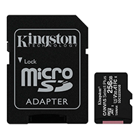 Memoria Micro Sd Kingston Canvas Select Plus 256gb