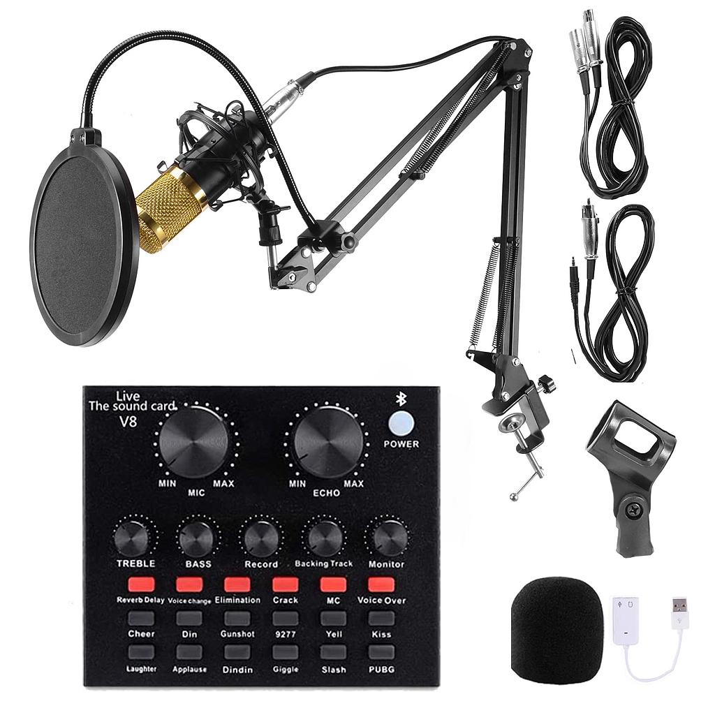 Microfono Con Brazo y Ecualizador