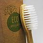 Cepillo Dientes Ecologico Biodegradables S/bpa S
